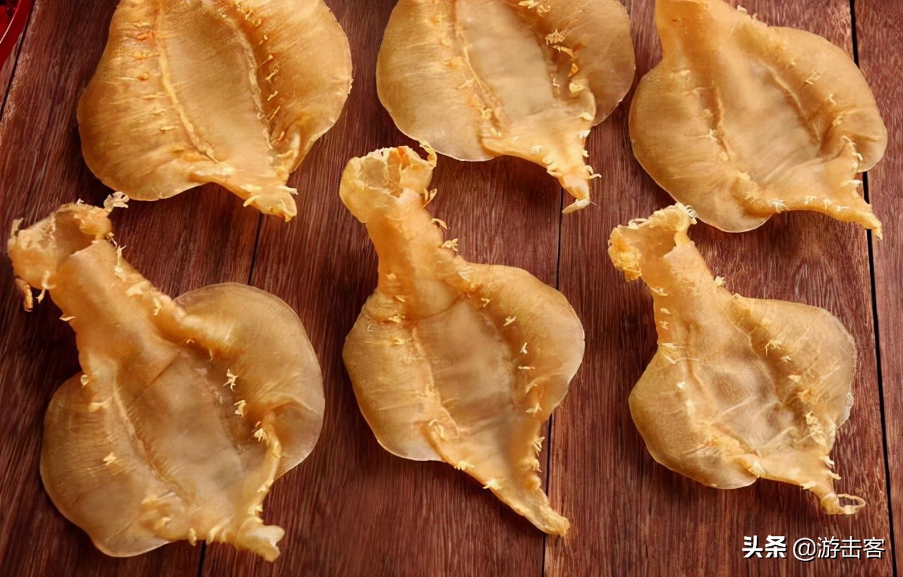 养殖的鱼胶有营养吗,野生鱼胶与养殖鱼胶的区别