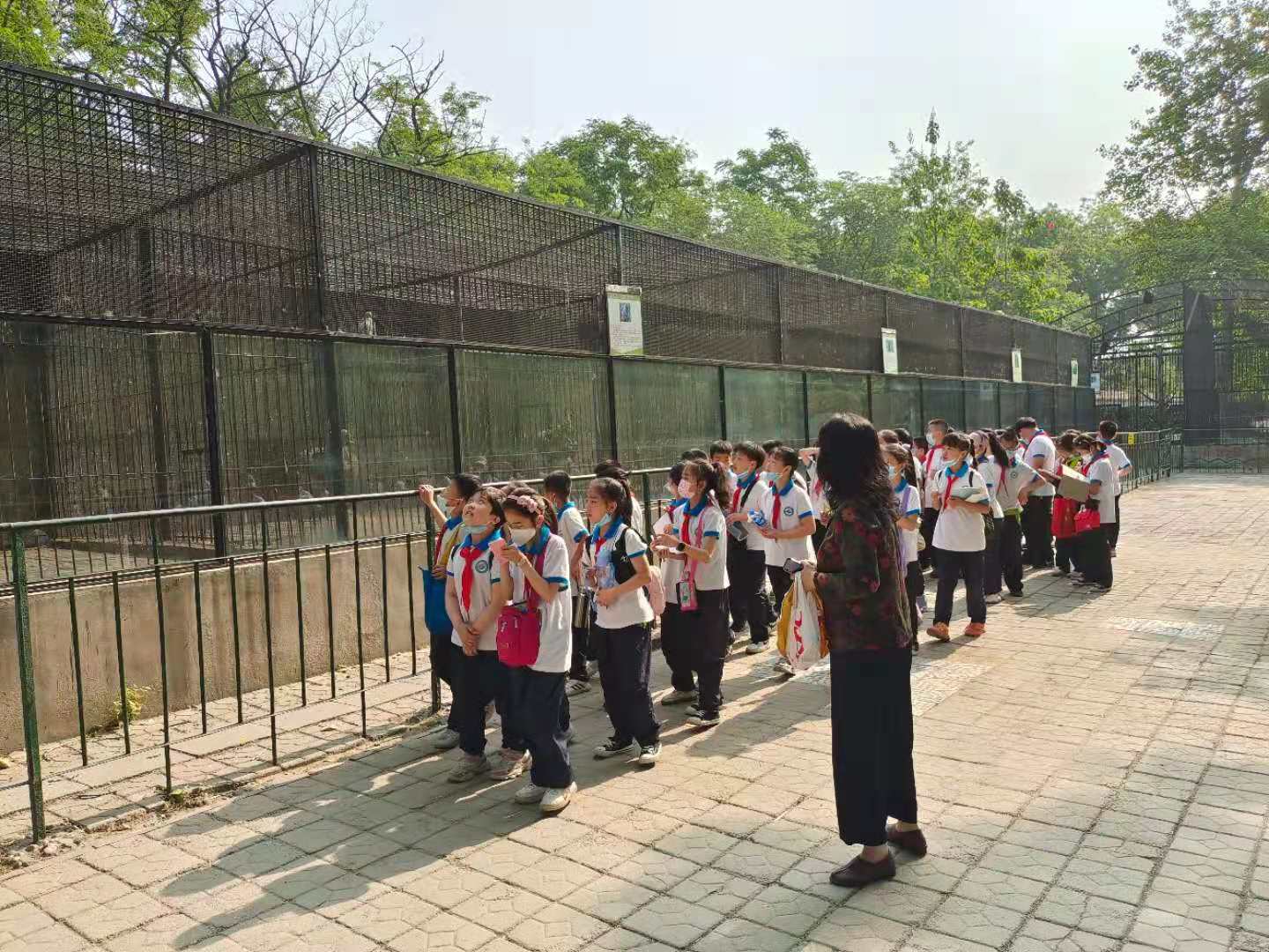 河北保定:莲池区史庄街小学走进动物园开展社会实践活动