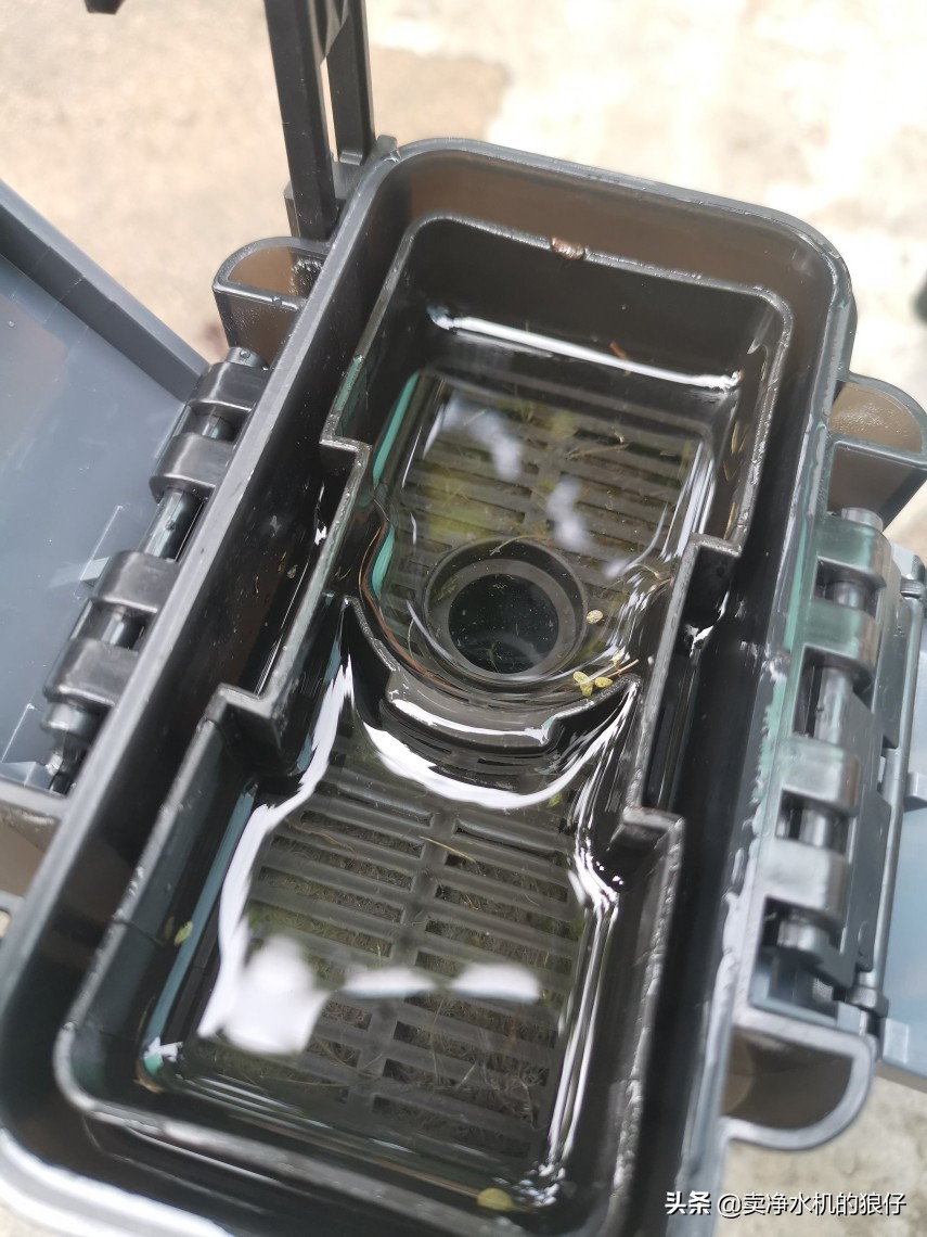 鱼缸过滤器没反应是哪里出现问题,布隆过滤器失效