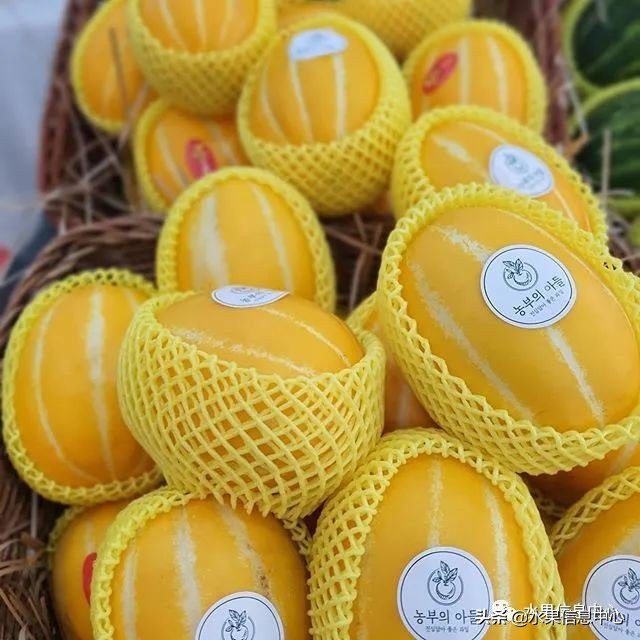 水果电商小白入门电商从哪里做起,如何做水果电商赚钱快又稳