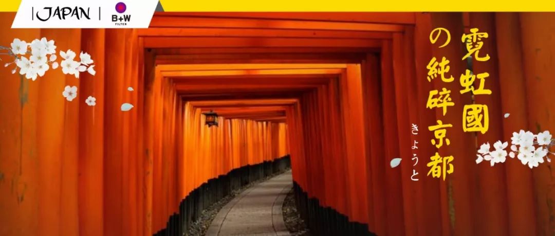 经验贴复试,经验帖都去哪查