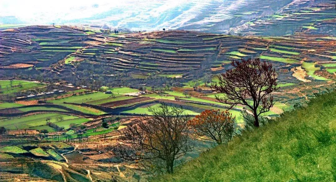 新郑好看视频,新郑怎么样