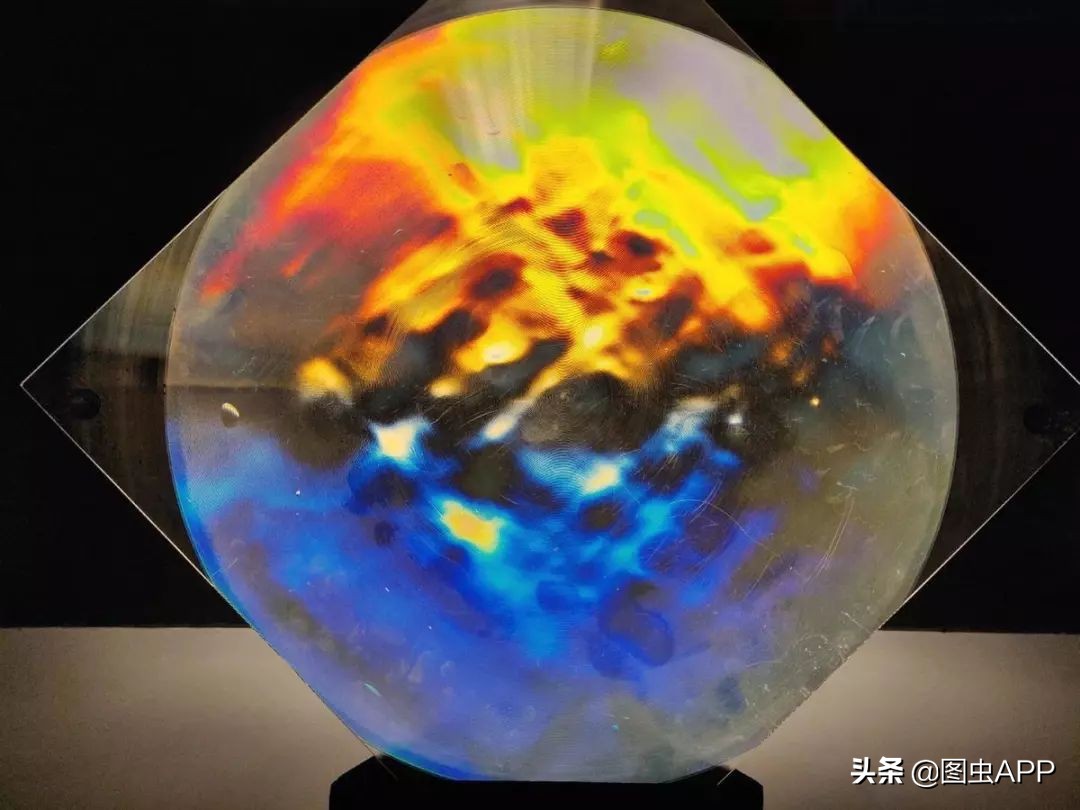 图虫opensealab摄影,图虫看动物世界系列