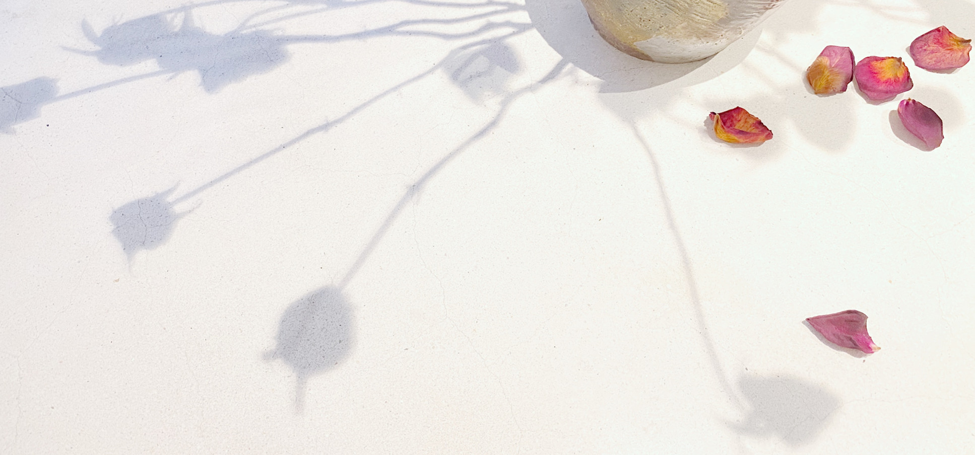 这对夫妇的家，用上海老洋房的地板铺浴缸，用石英砂做“茅厕”