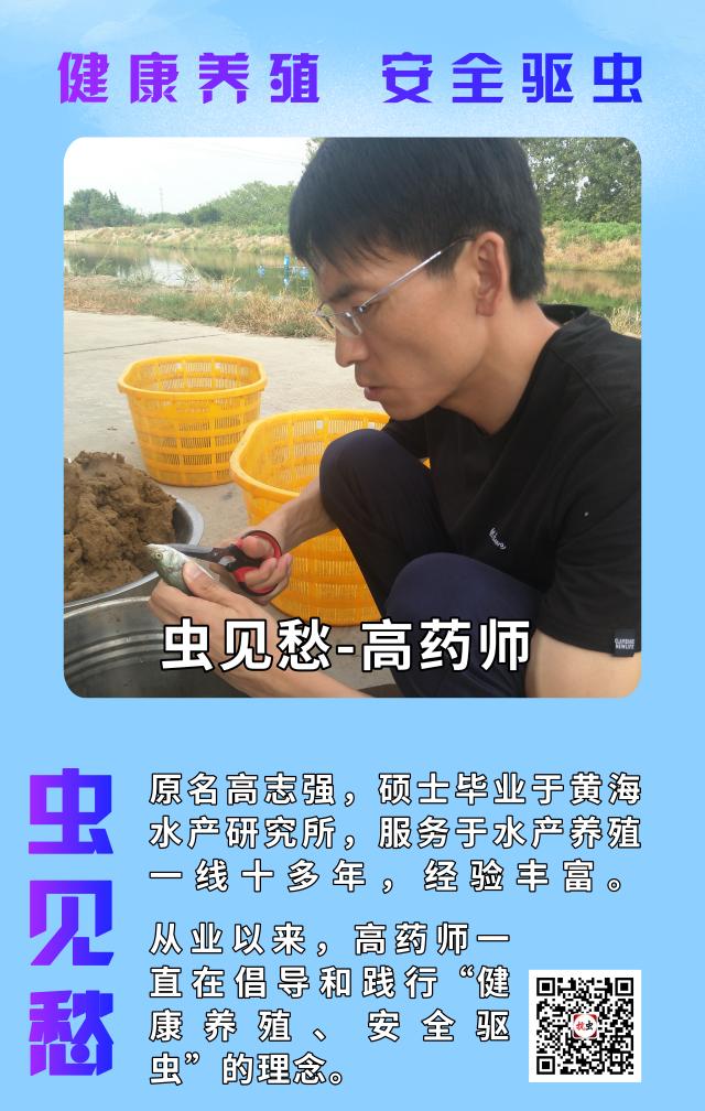 海参纤毛虫病用什么药,虫见愁怎么样