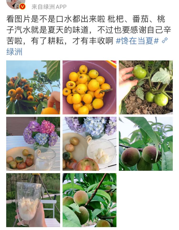 张馨予吴卓羲在一起多久,张馨予吴卓羲谈了几年