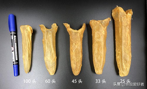 怎么买鱼胶不踩坑,怎么购买鱼胶最好