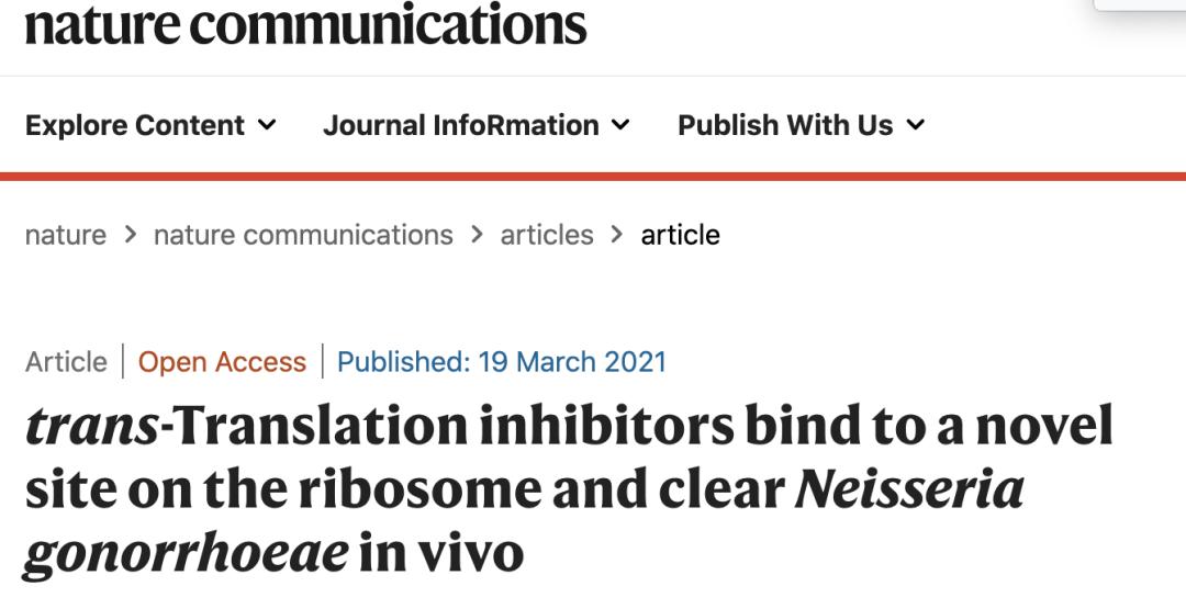 最新!*病治性疗**迎来新突破,MBX-4132或可治愈淋病
