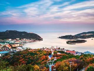 大连枫叶最佳观赏时间,大连枫叶红视频