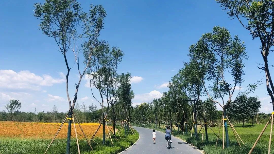 附近免费景点踏青网红打卡地,北京周边的四季花海