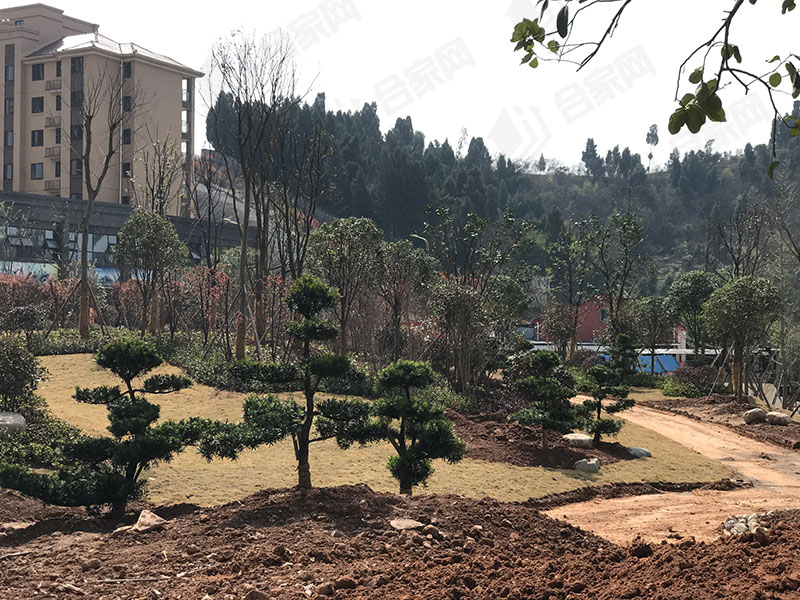 实探楼盘园林实景,山水如画宜昌楼盘周边规划