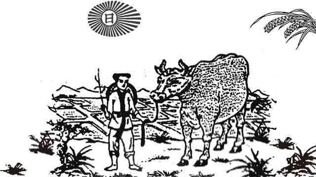 如何看懂春牛图,今年春牛图解析