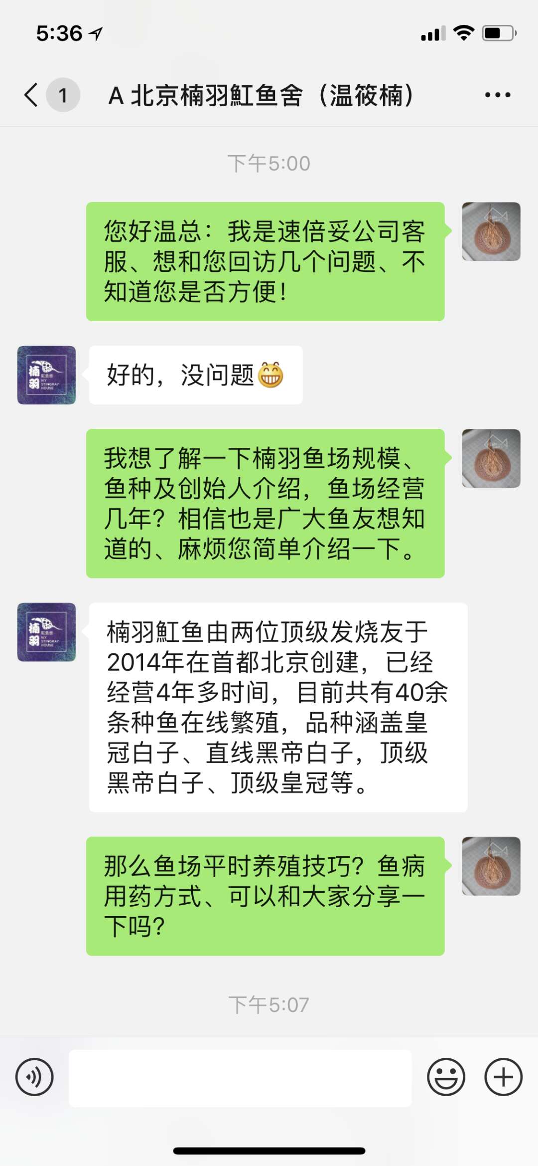 楠羽养鱼经全集,楠羽魟鱼