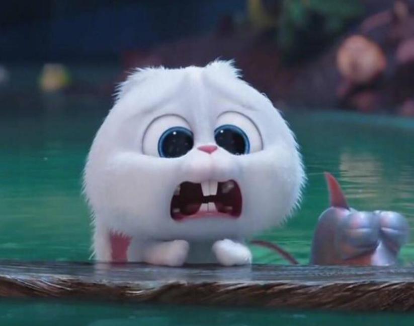 网络彩票骗局套路要警惕,网络彩票骗局揭穿是真的吗