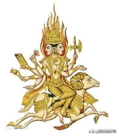 瑜伽培训免费试学,瑜伽培训零基础教育