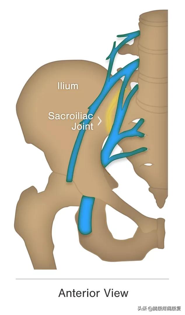 骶髂关节疼痛的原因一般是什么,骶髂关节夜间疼痛口服什么药品