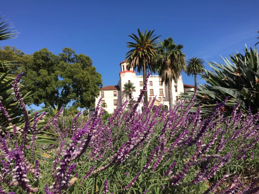 女孩子本科美国留学学什么专业好,美国留学女性学什么专业好
