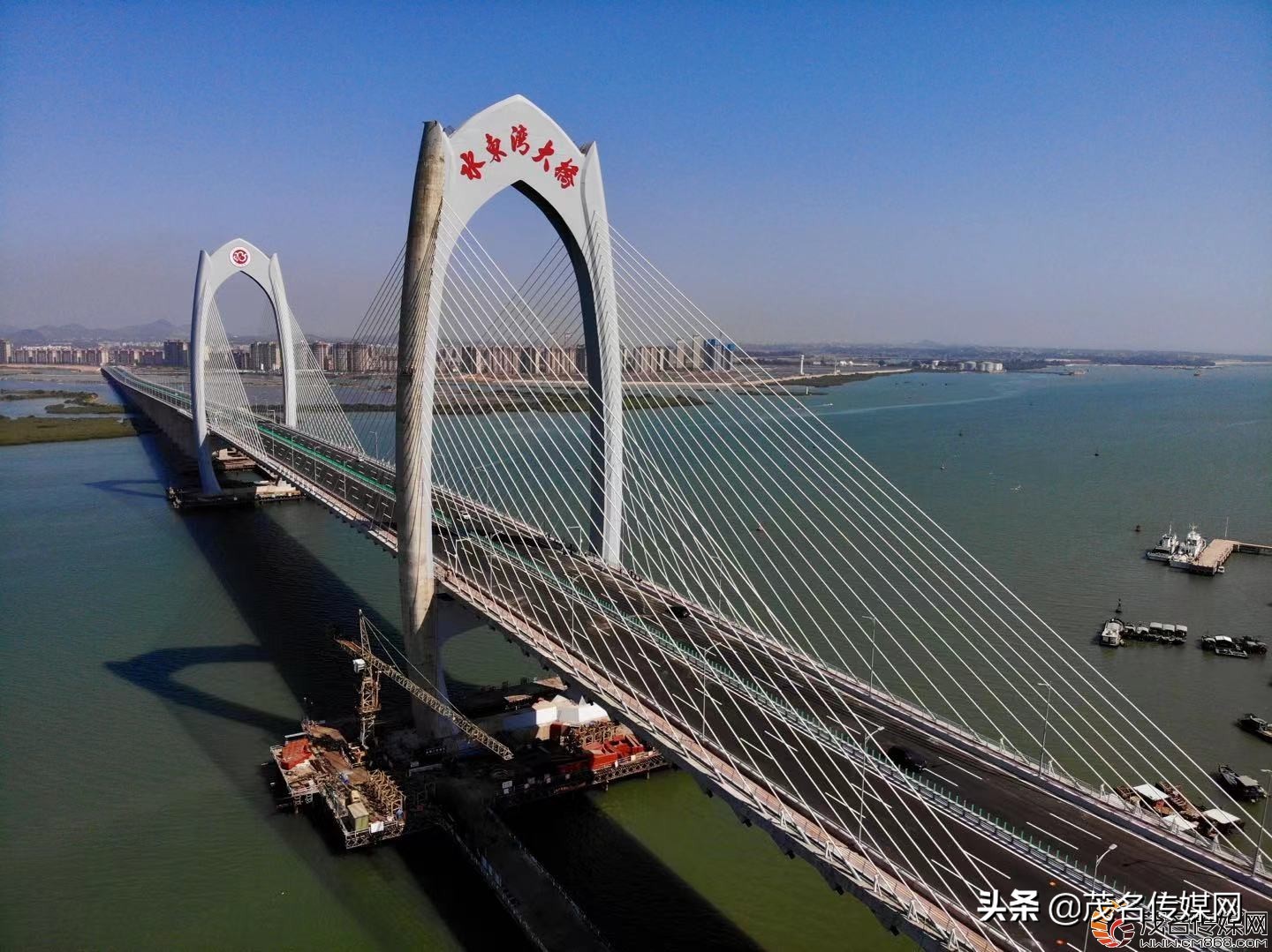 电白在崛起！——2021网络媒体看滨海（电白）采风活动