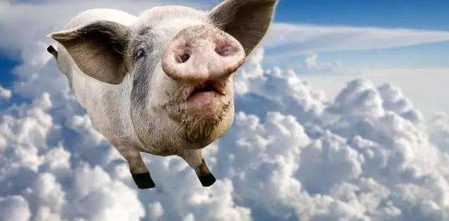 “脱发、焦虑，几乎每晚都失眠……”，我们采访了36家微商大佬