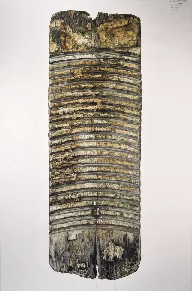 央美vs985,鲁美附中精微素描作品欣赏