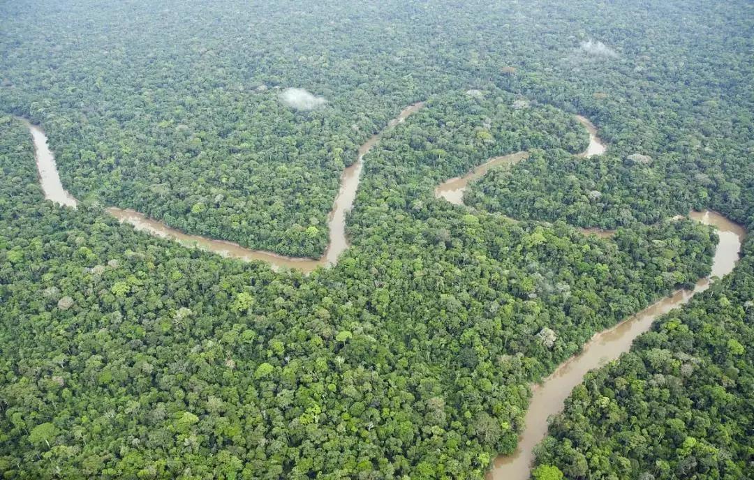 彩宝之国全集完整版,彩宝之国十二位公主