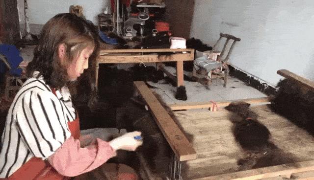 假发之都许昌版,假发之都许昌占比