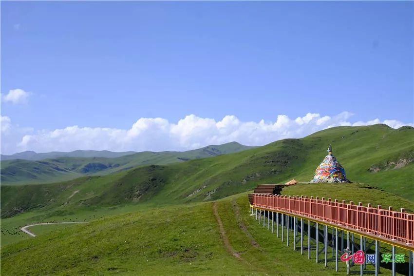 大梅看草原丨盛夏的甘南玛曲，美得脱俗惊艳