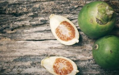 槟榔有什么作用秒懂百科,槟榔四消丸有什么效果