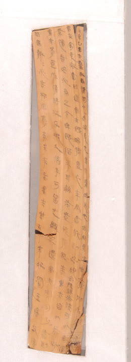 走遍中国河南淮阳,走遍中国河南全集