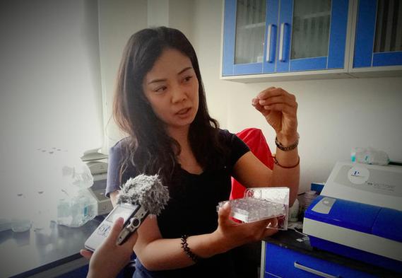 80后科学家预测癌症,两位女性科学家破解了基因锁