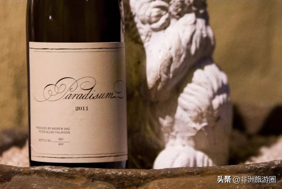 南非有什么葡萄酒好喝又便宜,南非葡萄酒品种