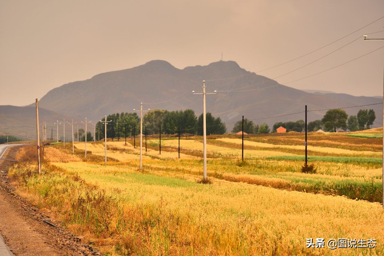 20年风雨治沙路，绿水青山秀丰宁
