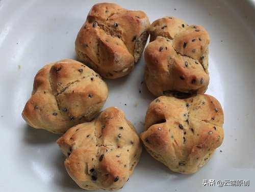 羊脚蹄盆景,羊脚蹄批发直播