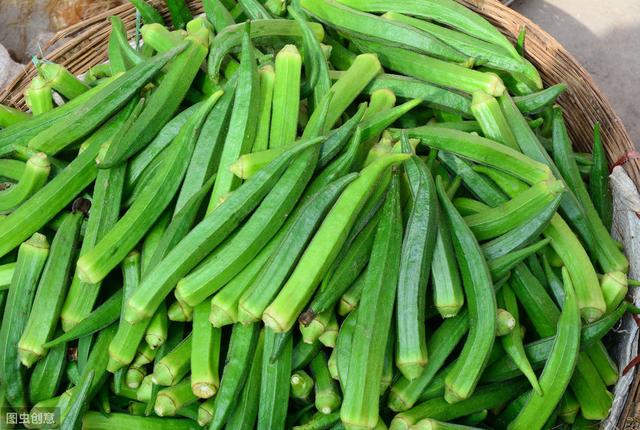 大棚蔬菜种植秋葵,黄秋葵大面积种植怎么育苗