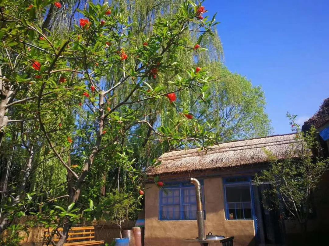 盘锦大洼区旅游攻略,盘锦大洼旅游