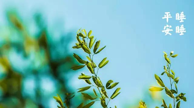 梁冬五个令人心盲的道理,梁冬对话经典语录