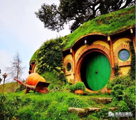 新西兰北岛自驾游攻略,新西兰北岛攻略3日行程规划