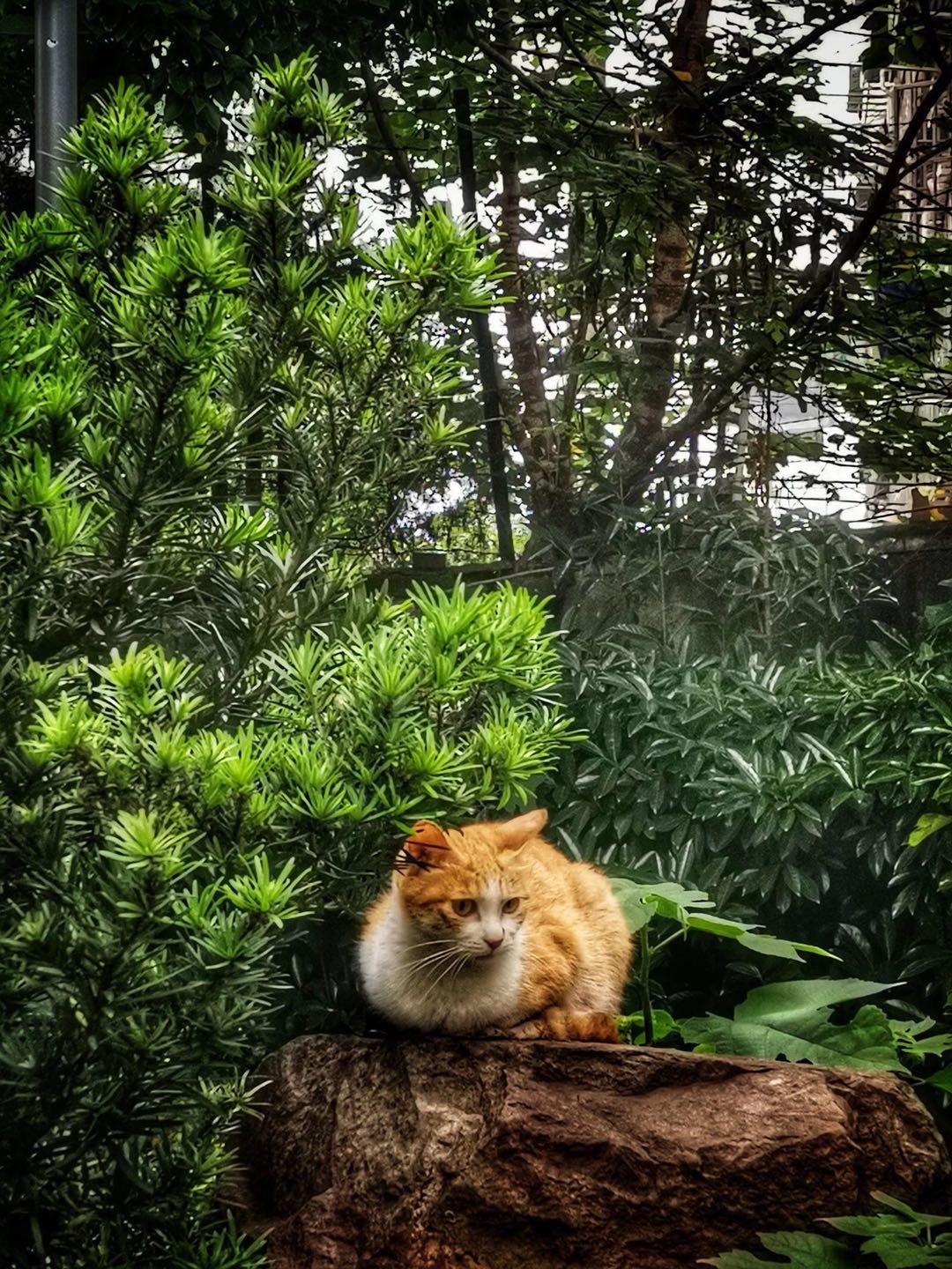 一句话让别人觉得你过得很好,让别人觉得你的好才是春风