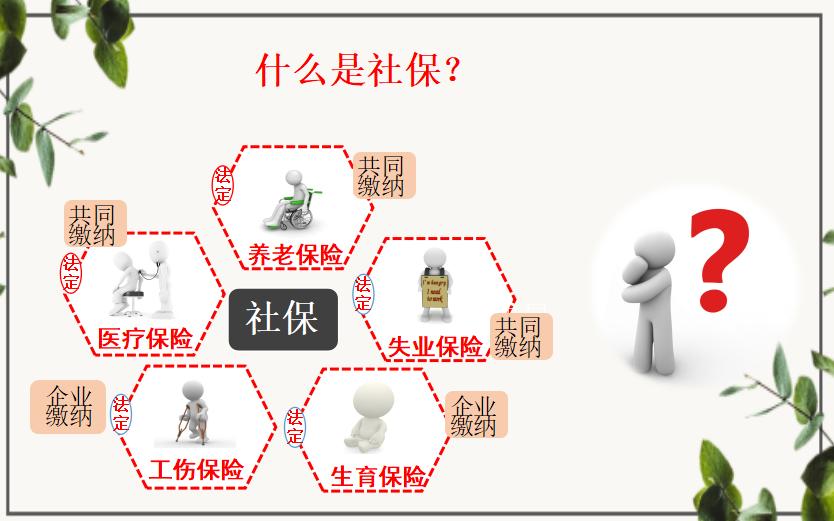 最新不计提社保会计处理,关于社保会计如何做账