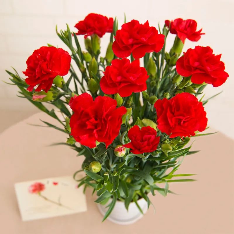 母亲节送什么花给妈妈最适合图片,母亲节做一朵手工花送给妈妈