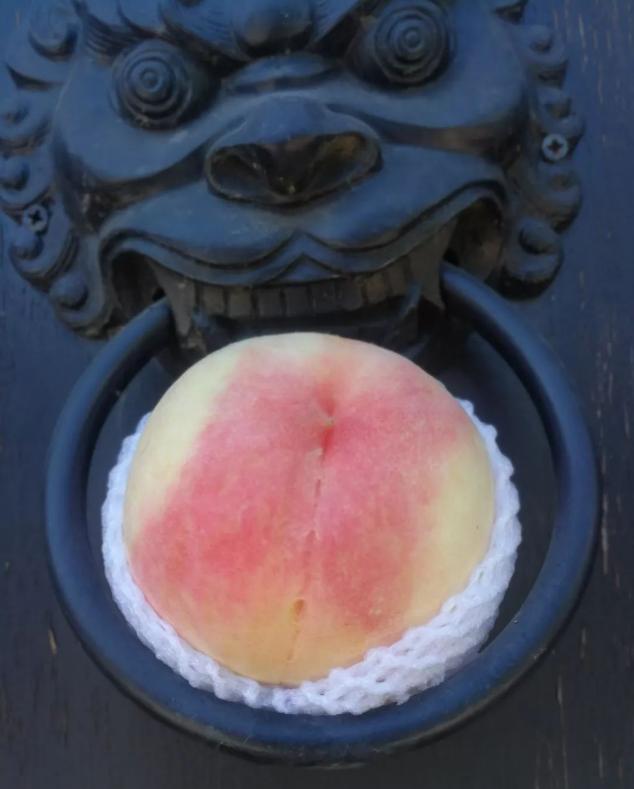 真正的阳山水蜜桃,阳山水蜜桃真的有那么好吃吗