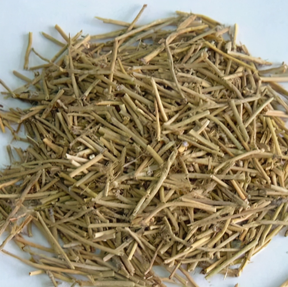 执业中药师常用单味药,中药药剂师必看的书