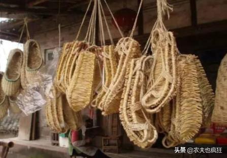 借米不借柴借衣不借鞋真现实,借米不借柴说法