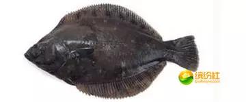 舟山海鲜代加工攻略,最全舟山海鲜攻略