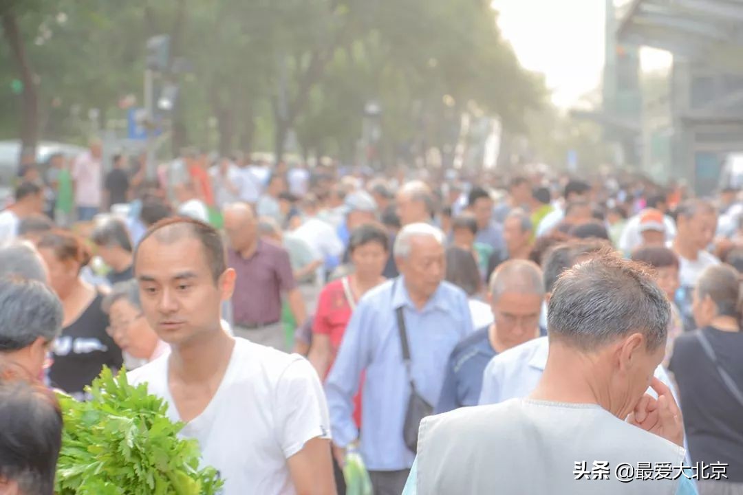 带你逛北京最大早市,北京正宗早市推荐