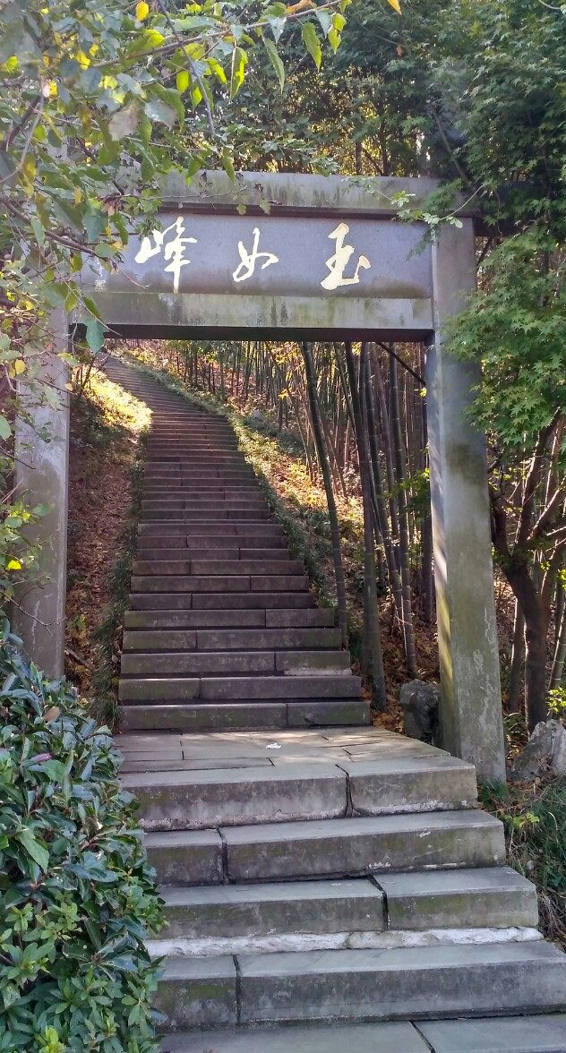 风景秀丽的宜兴竹海,漫步竹林呼吸大自然的清新