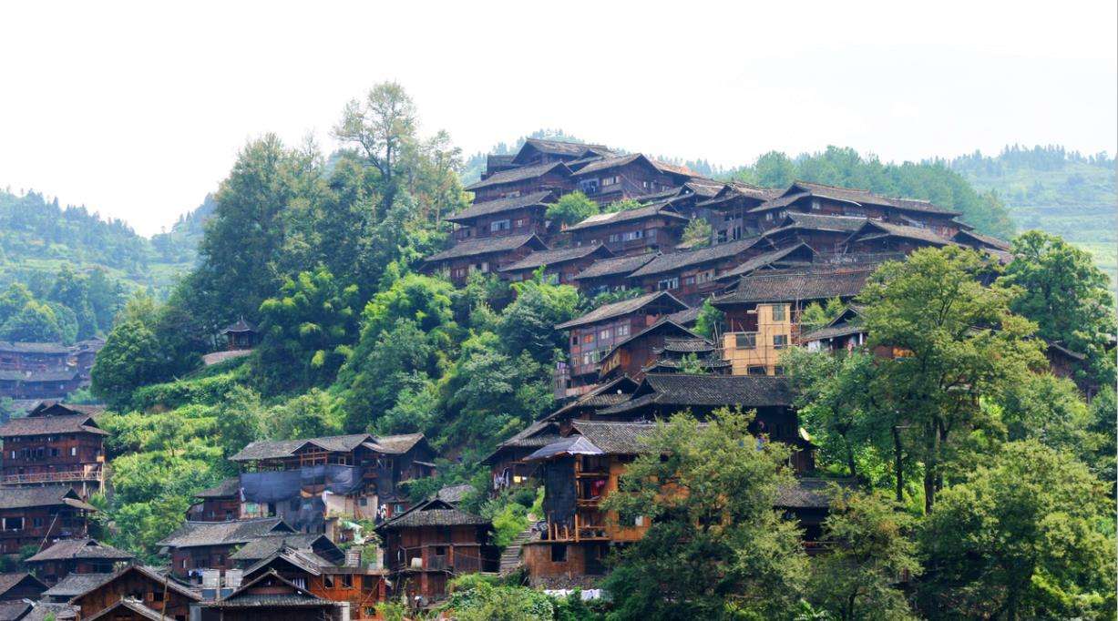 把老虎当作宠物的人到底有多牛,盘点那些把老虎当宠物养的人