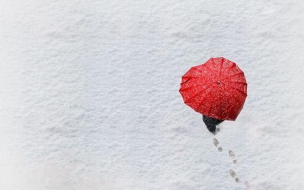 天才相师打眼视频,天才相师打眼有没有第二部