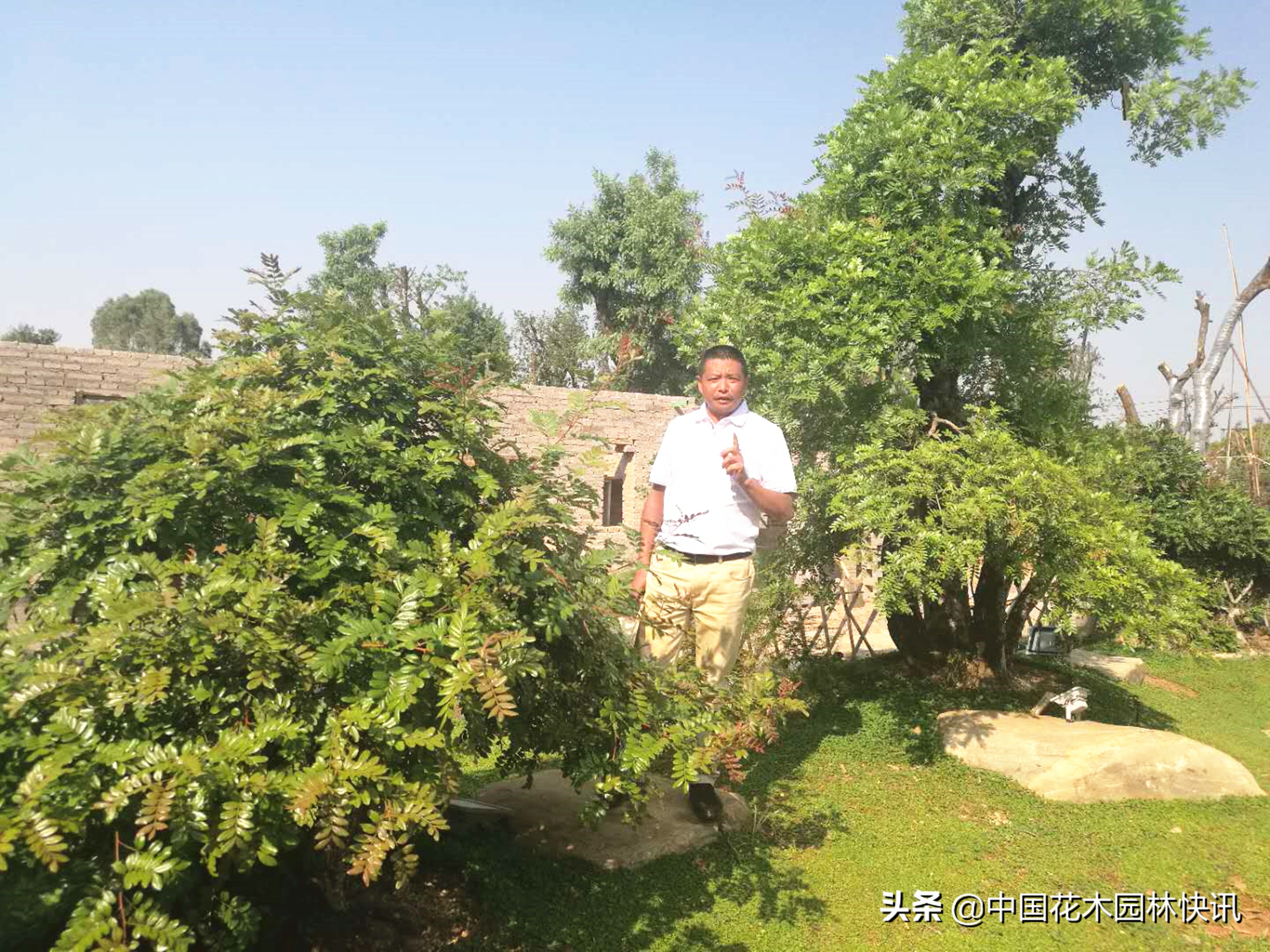 用工匠精神打造最美苗圃—记锦萃园林工程有限公司董事长苏跃文