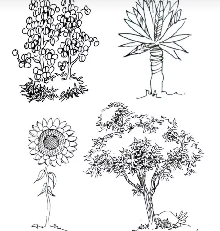 入门风景速写1000例临摹图,风景速写教你超简单的树木画法